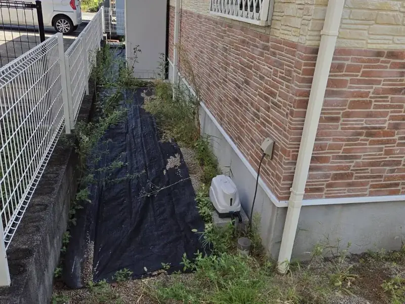 家の横の通路の除草（BEFORE）